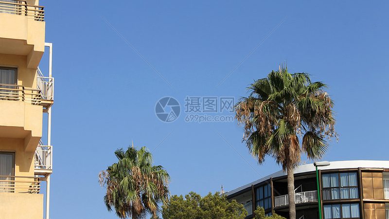 小标题：周边游旅行市场现状